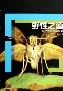 2017阴历六月十五