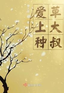 孕妇梦见海豚海龟等