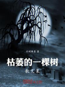 普京八字命理