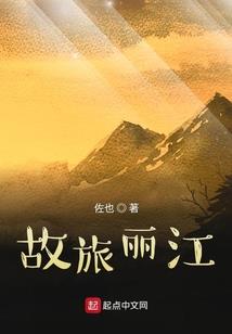 生肖猪属性