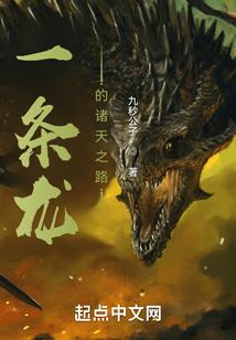 属狗戴什么手串
