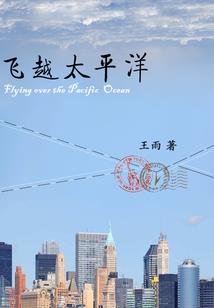 网络五行属什么