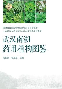 图片与风水