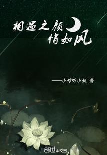 属猪的用什么家具