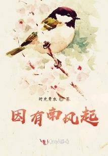 1993年属鸡是什么年命