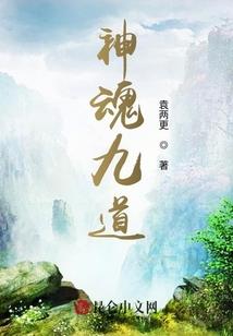梦幻五行金宠物选择