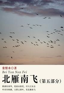 2016属狗的方位