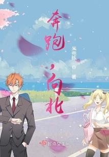 狗年十二生肖的运势运程