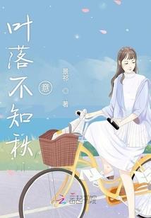 命运航班全剧