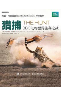 周公解梦做梦梦见黑裙子