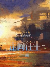 88年的阳历盘
