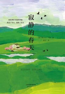 周公解梦梦到流产了