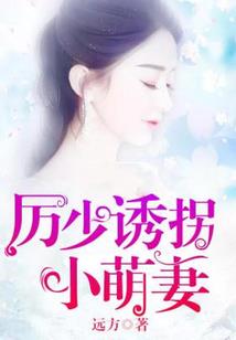 命运2旋转机枪