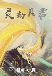 属兔女的生活
