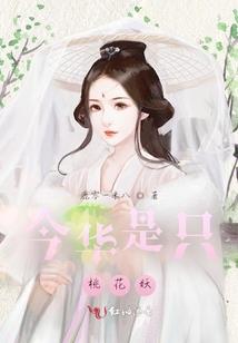 属猪的出殡