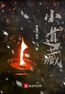 属猪好找工作吗