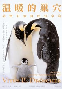 重庆属龙有多少