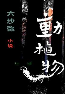 亥五行属什么五行用名字