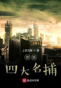 房屋八字结构图纸