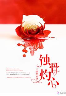 属兔女的背后故事视频