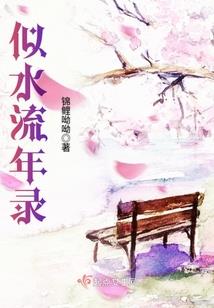 增财运盆栽