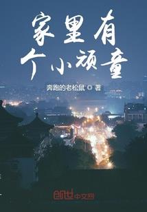 鼠冲马属马人财运如何