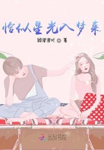 情歌歌词含义