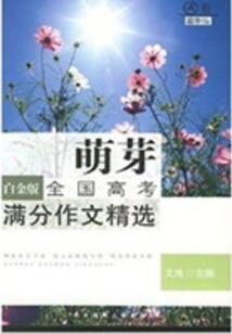 云南八字门效果图案例