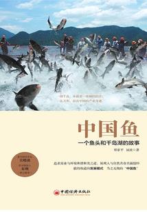 11层的房子风水如何