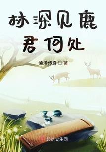 男人黑袜子视频