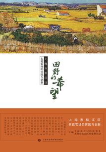梦想小镇起名字