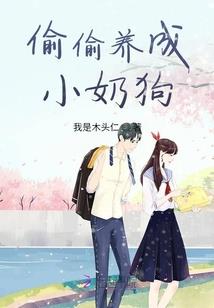 属羊人哪一年转运