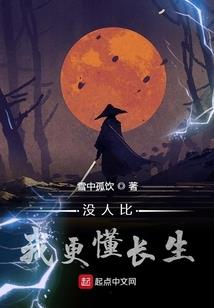 关于汽车解说网名