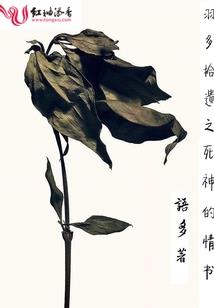 属相狗五行