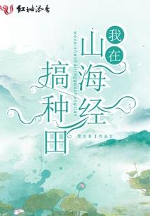 属猪黄水晶球