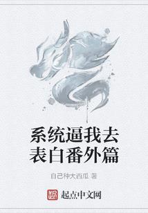 4.20猪运气