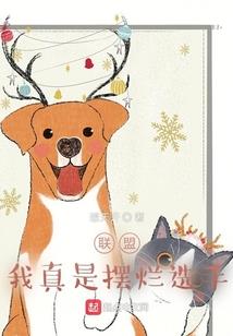 蝴蝶元素风水图片欣赏