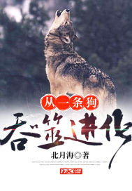 代表运动寓意的花
