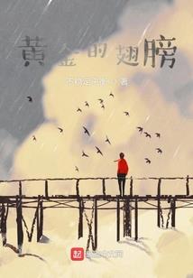 农历春节是哪年开始的