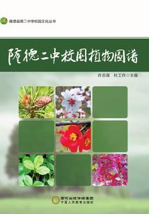 潍坊文化中心风水
