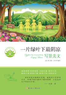 属兔的和属啥最相配