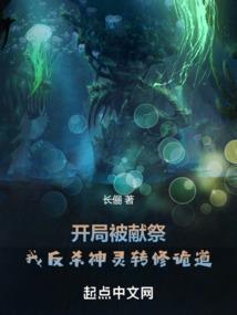 属牛2004年感情