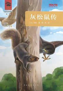运势明日运势塔罗