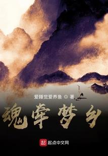 1986521星座