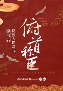 数学阴历27