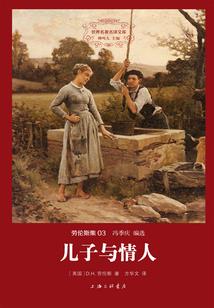 无名枪起名