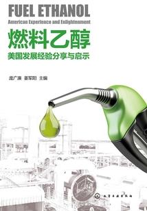 13显示农历