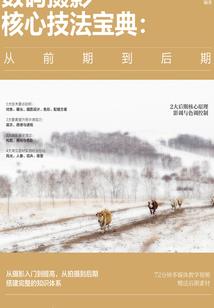 周公解梦成群耗子涌出