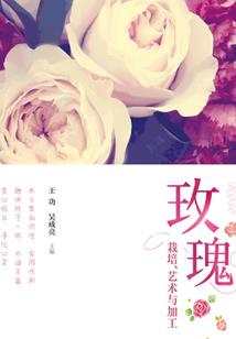 中午属马的吉祥数字