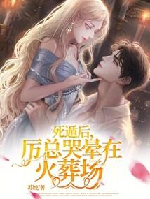 官员与流氓的生肖